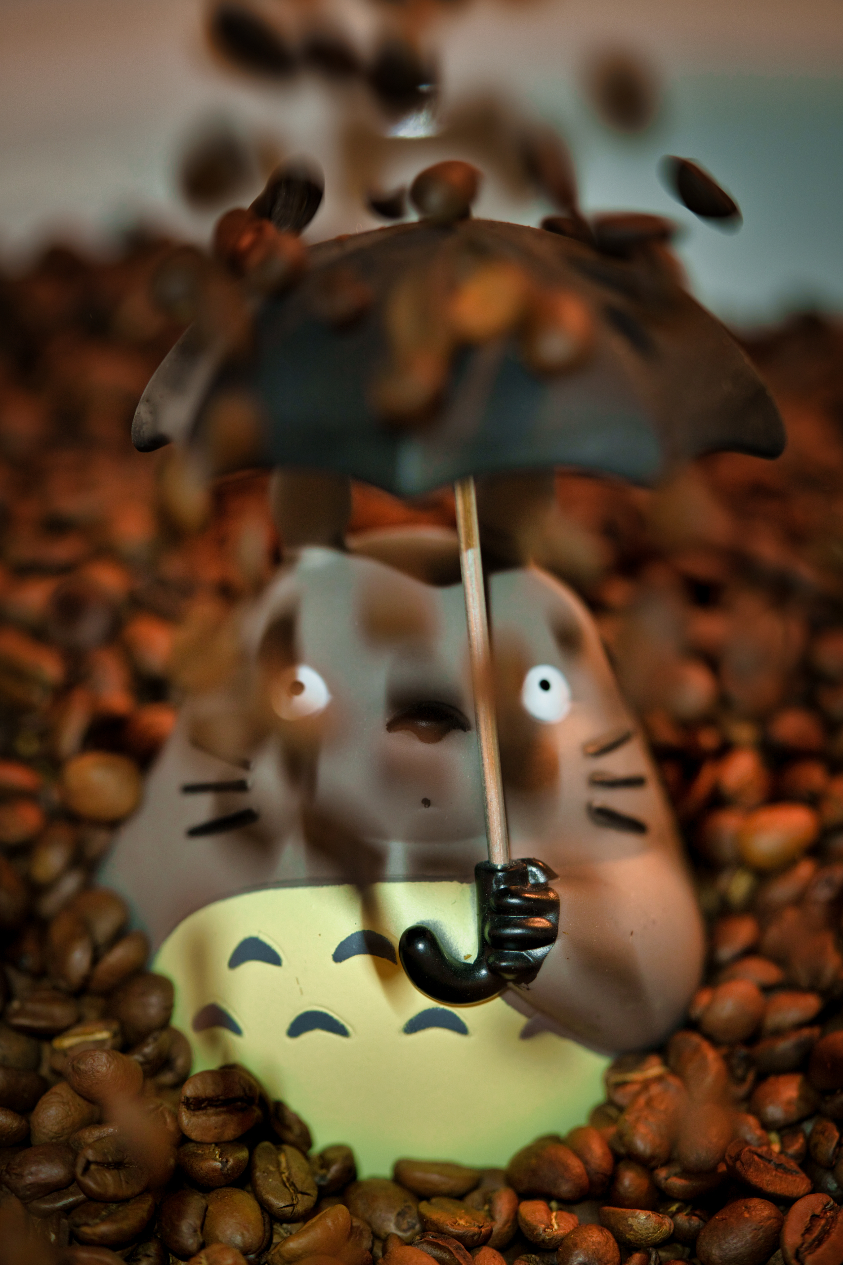 Totoro und das Bohnenwetter