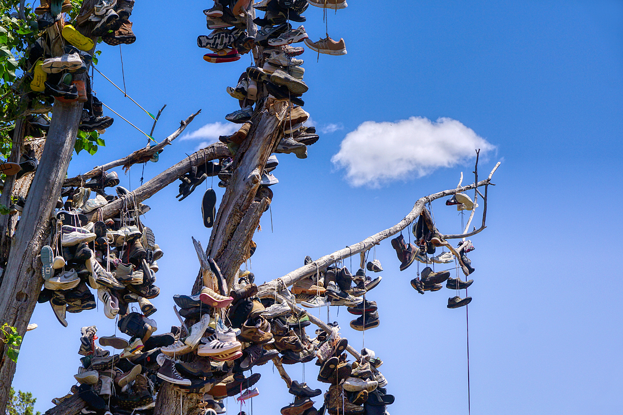 Tree of Shoes