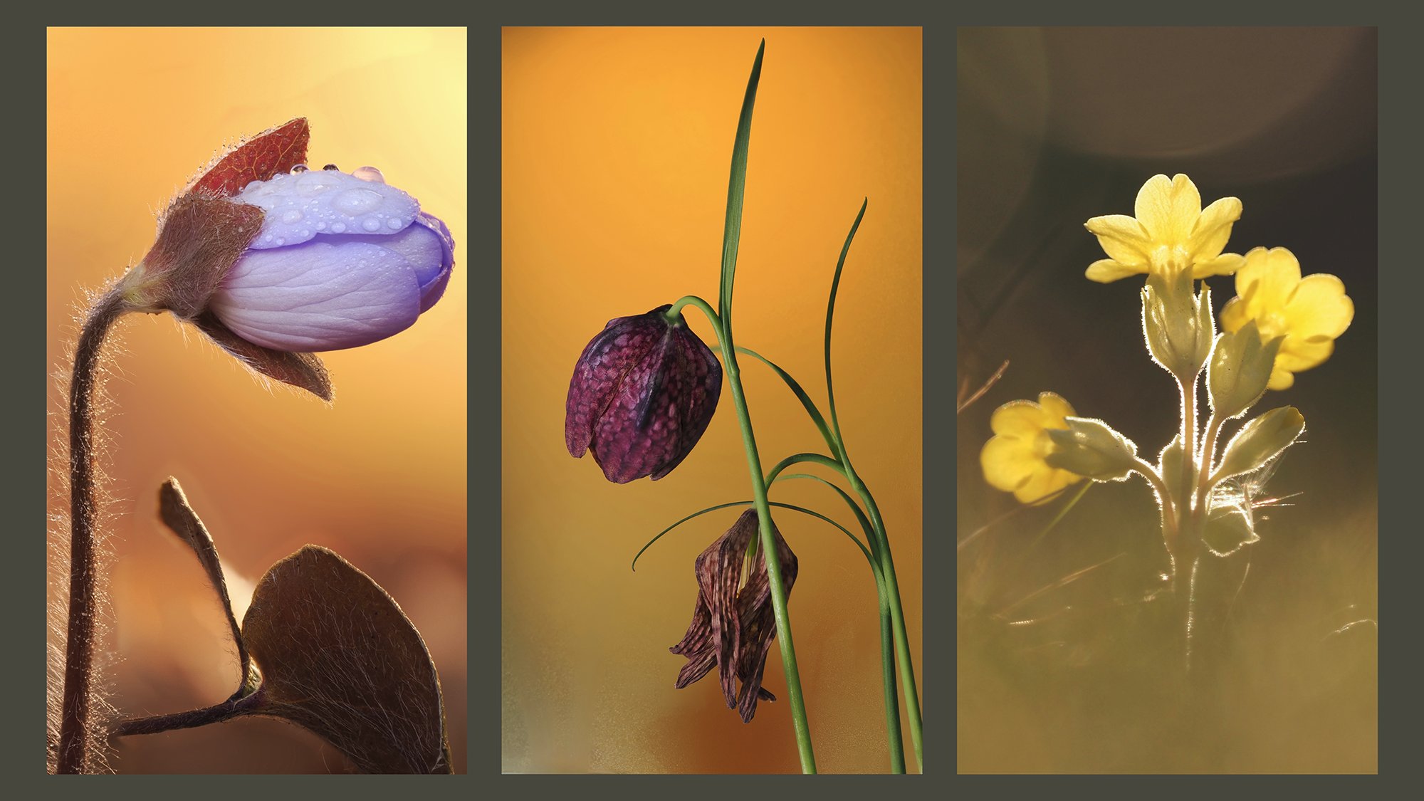 Triptychon Frühling