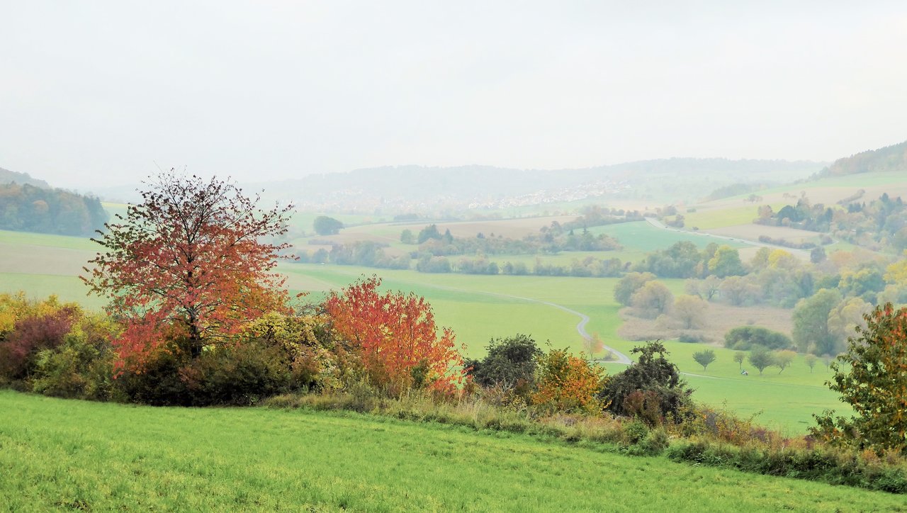 Trüber Herbsttag (2)