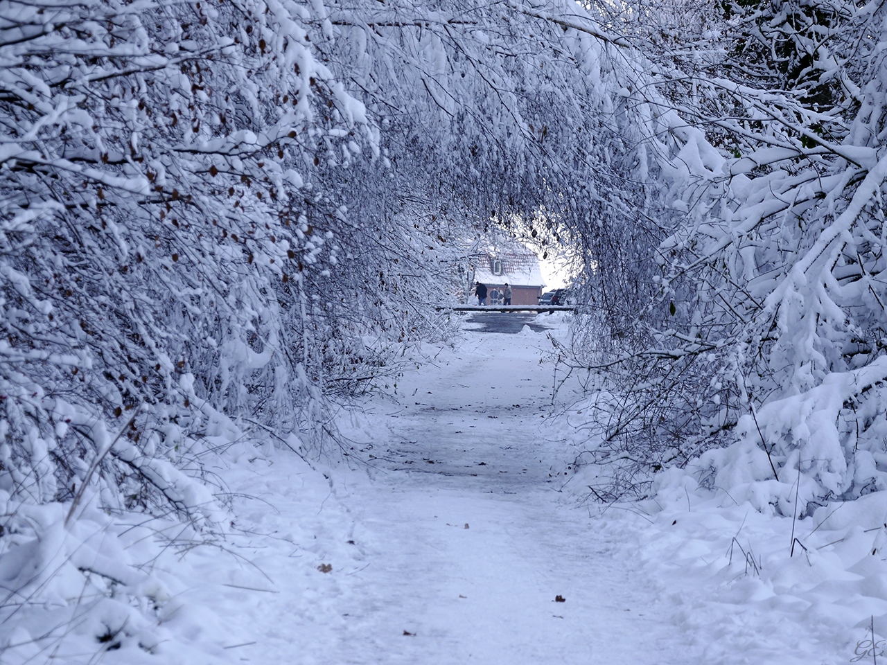 Tunnelblick