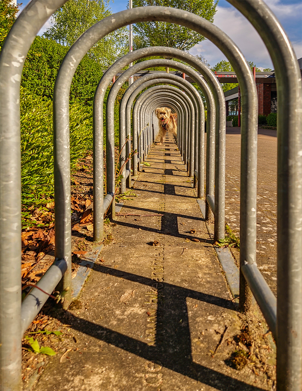 Tunnelblick