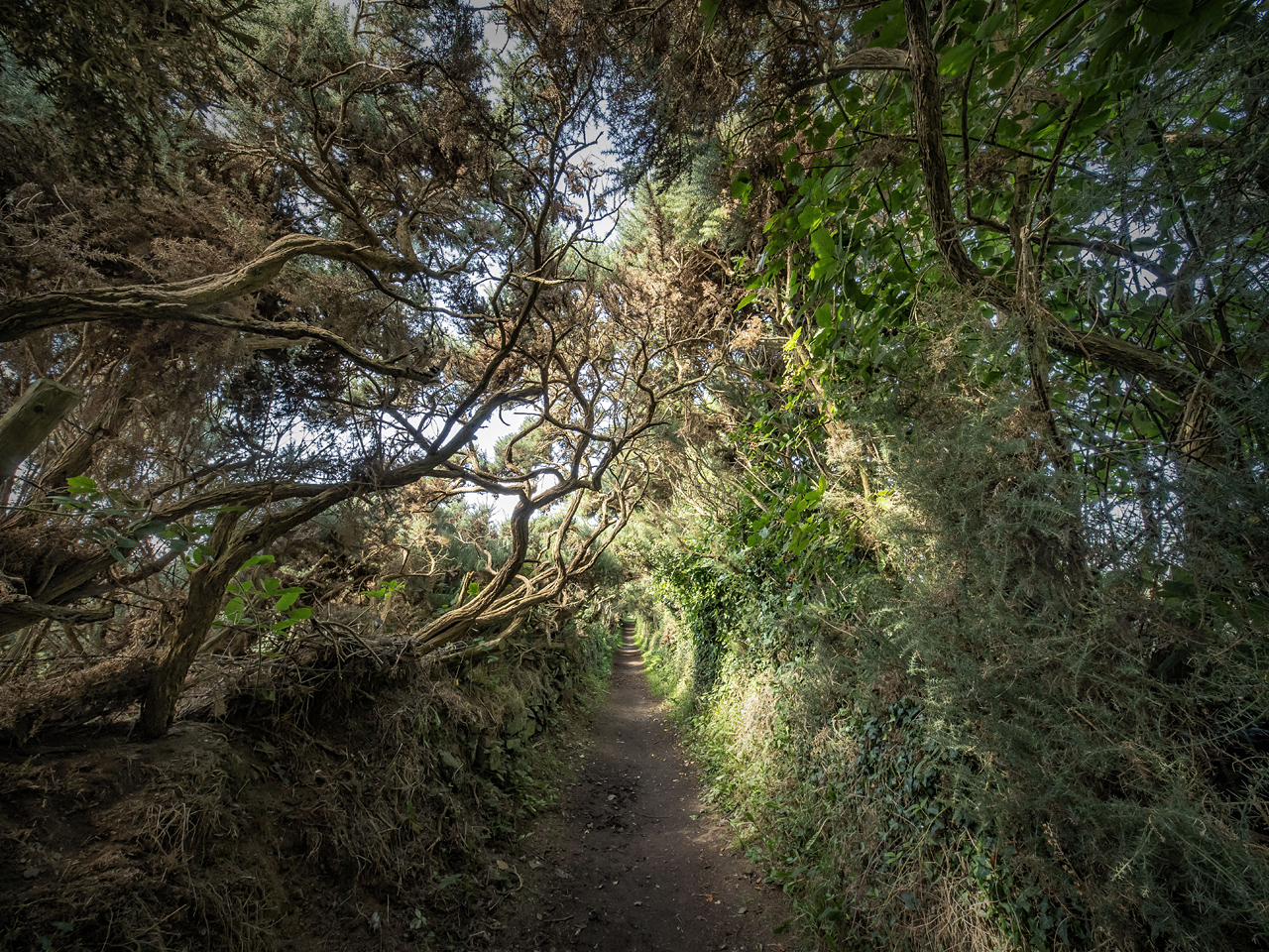 Tunnelblick