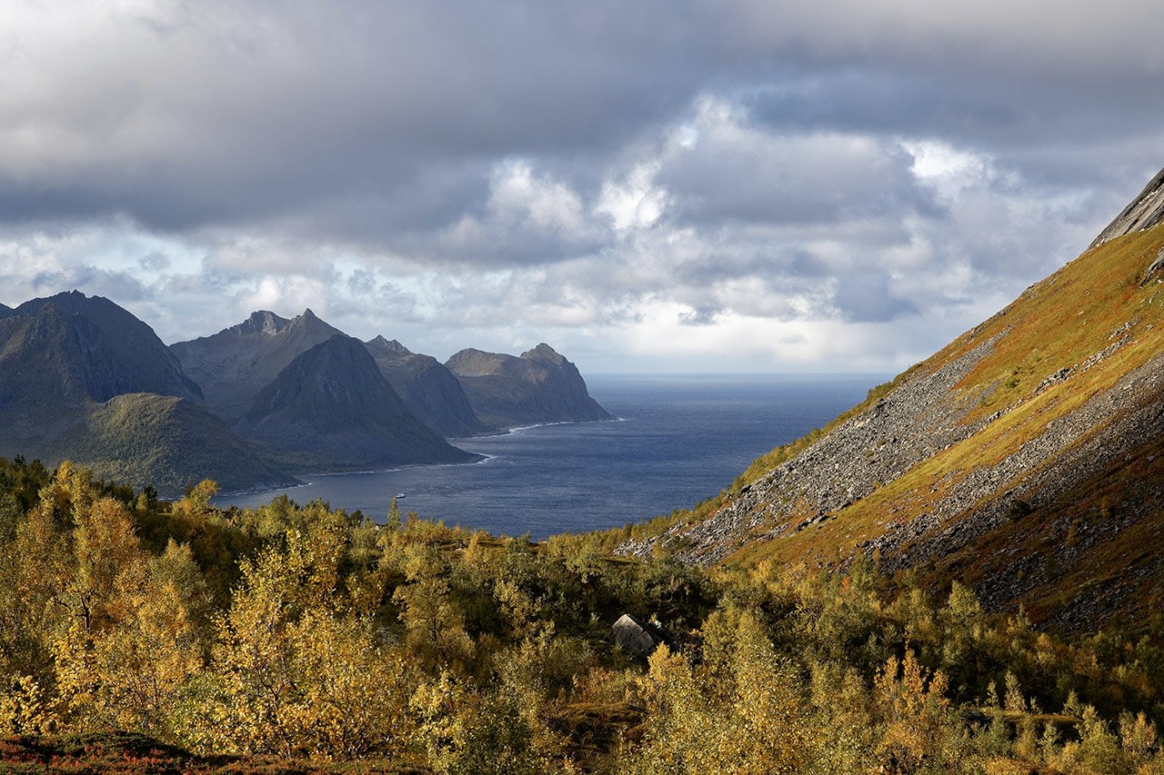 Über dem Fjord