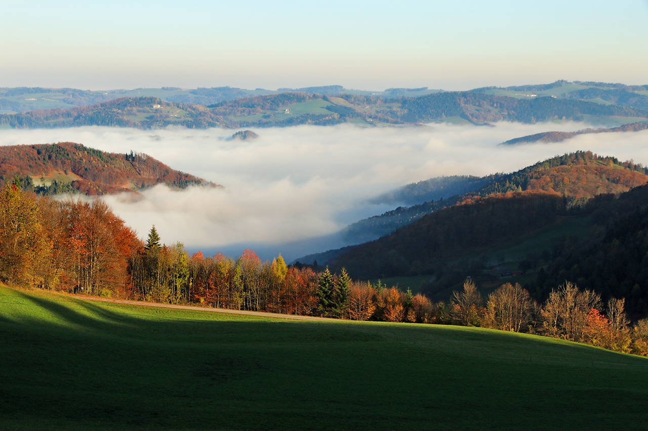 über dem Nebel