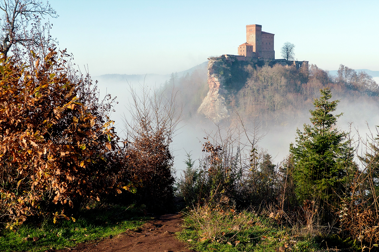 Über dem Nebel