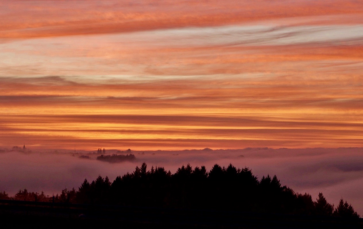 '... über den (Nebel)Wolken