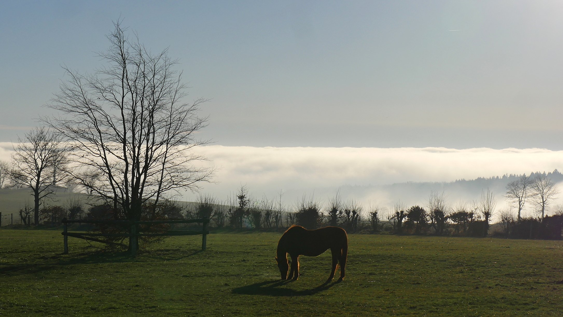Über den Wolken....