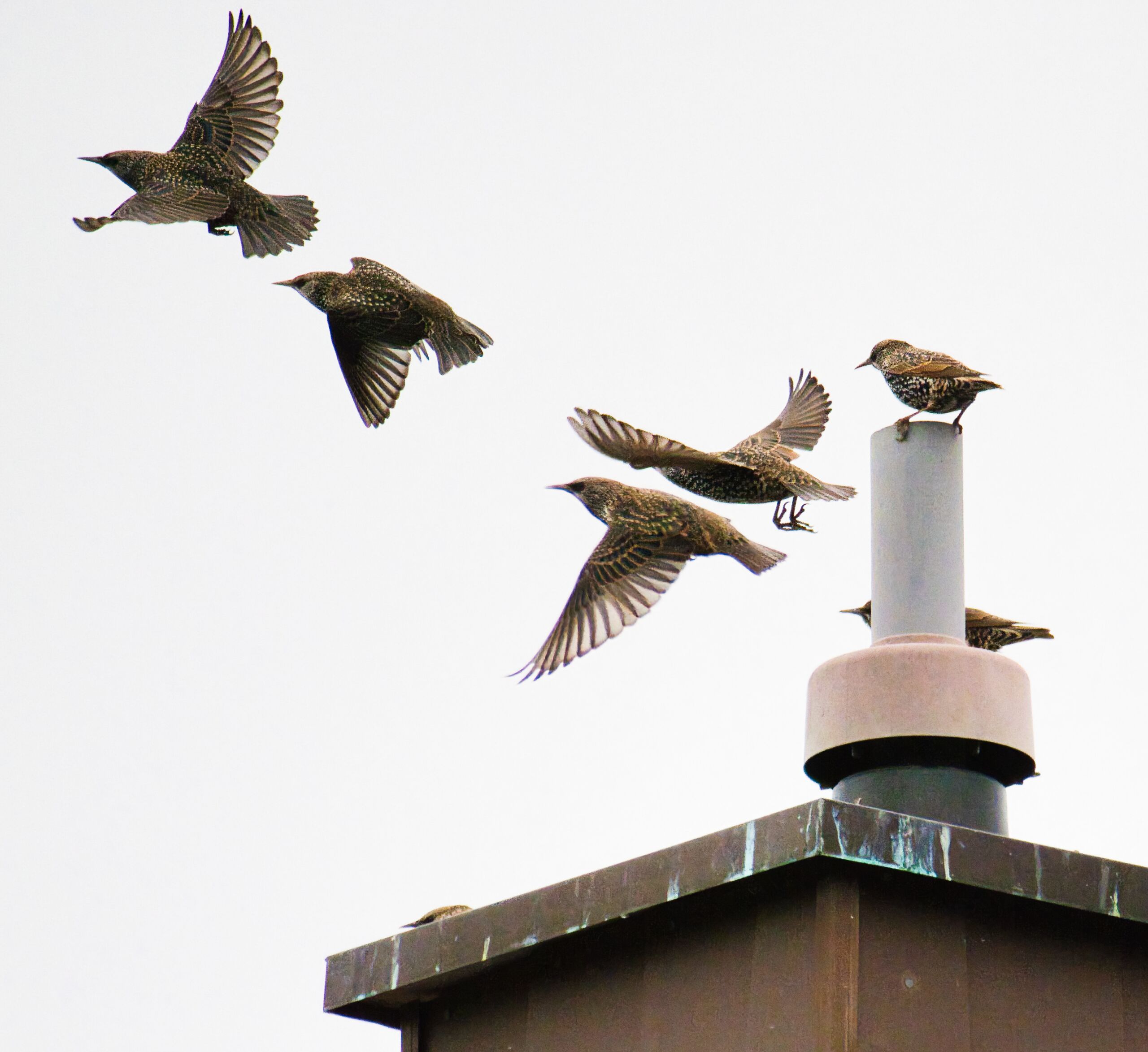 ....und Abflug!