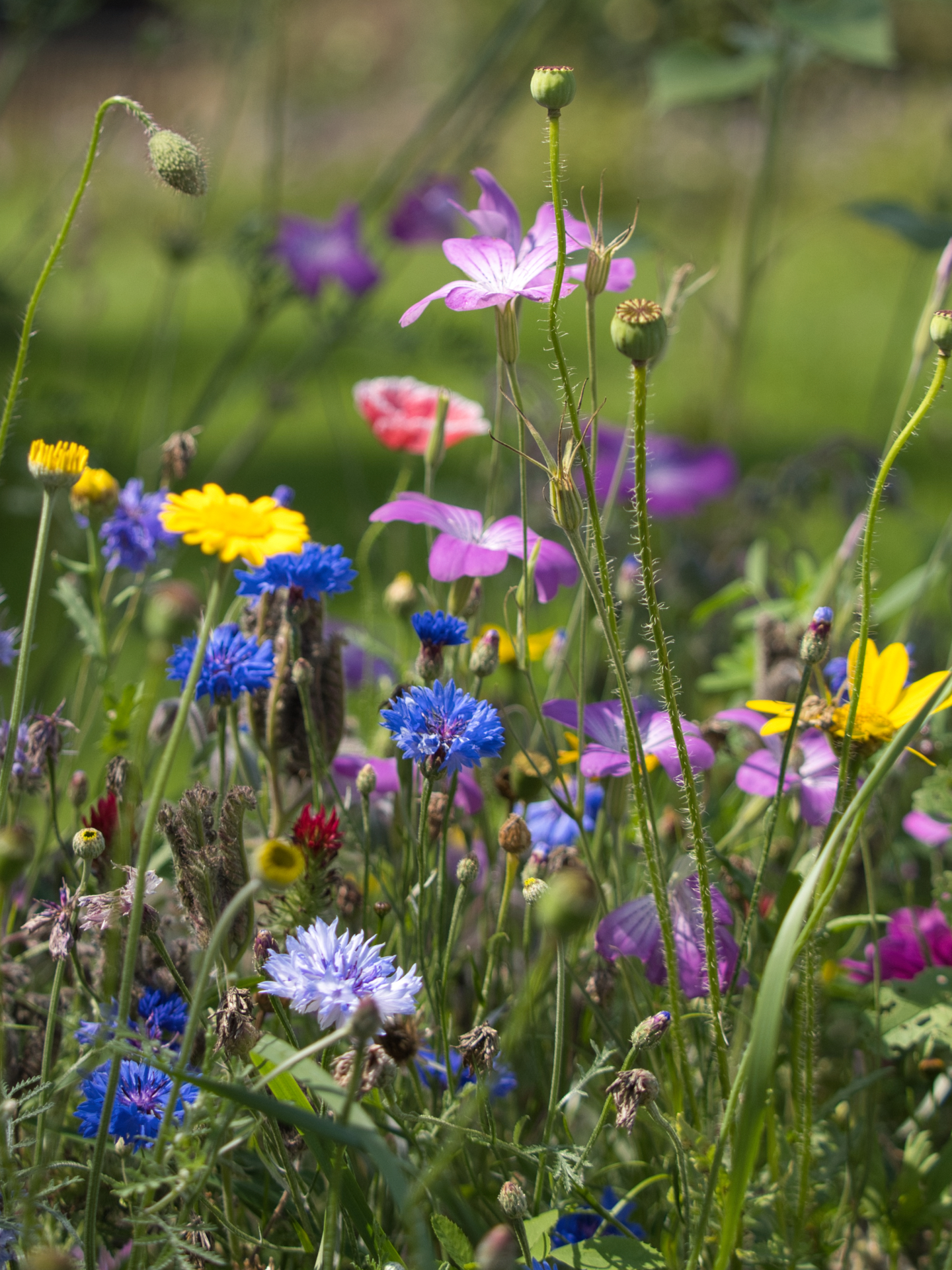 Und es war Sommer
