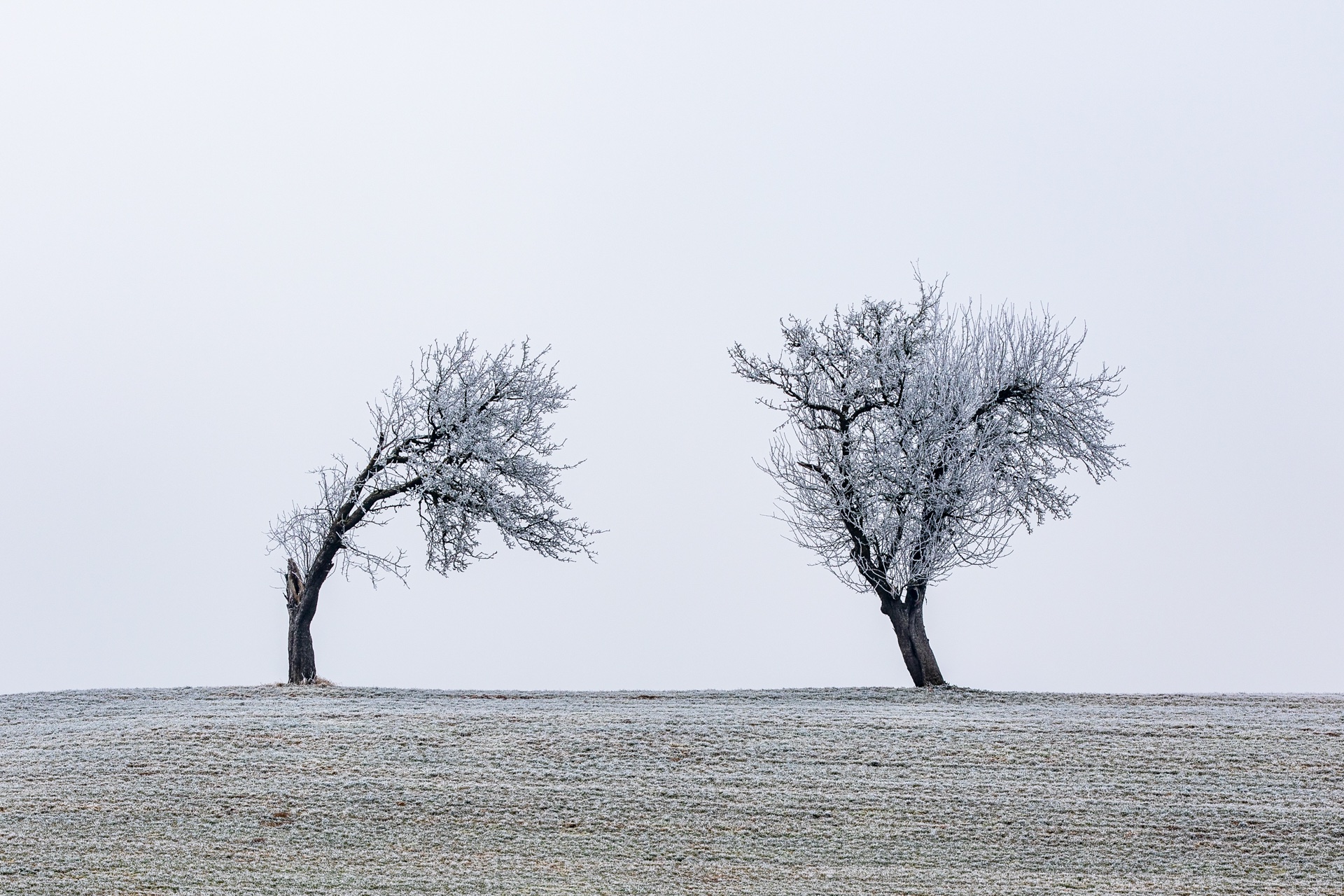 und wie gehts dir so?