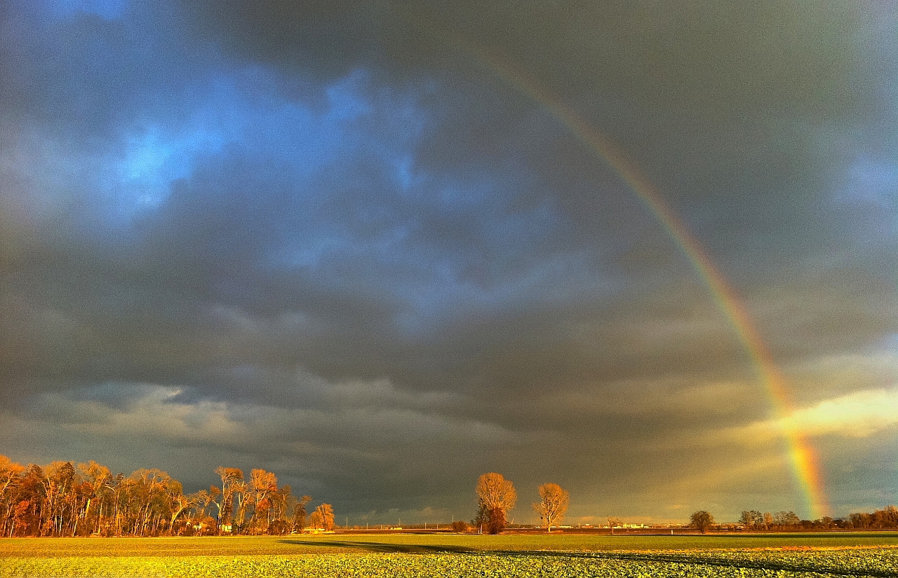 under the rainbow