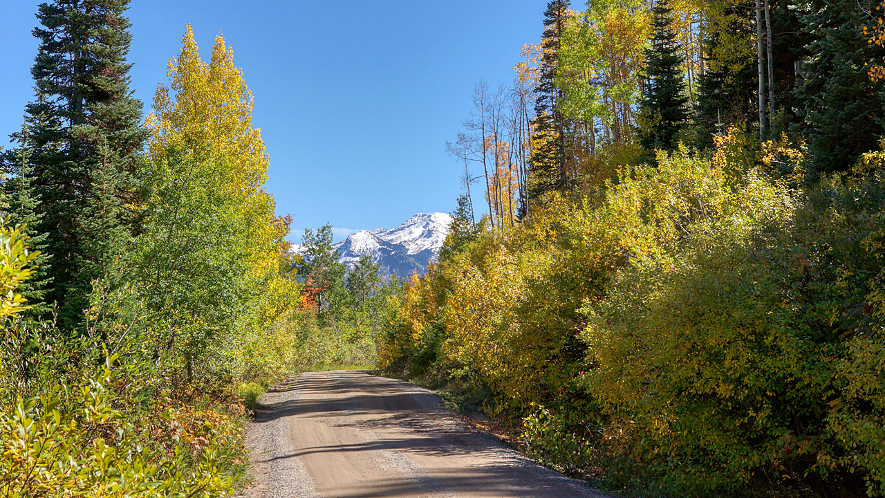 Unpaved Road