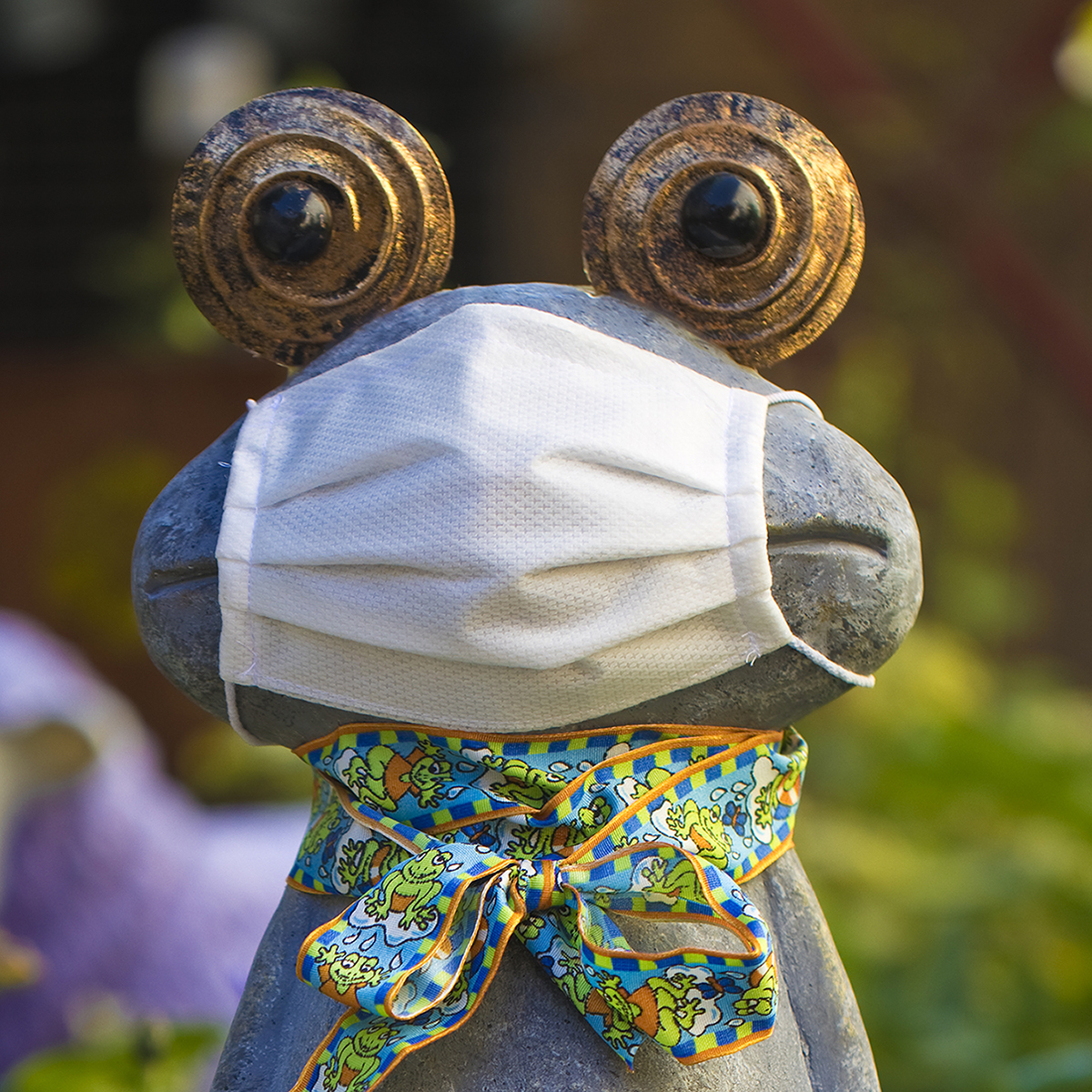 Unser Gartenfrosch..... | d-pixx.de Forum