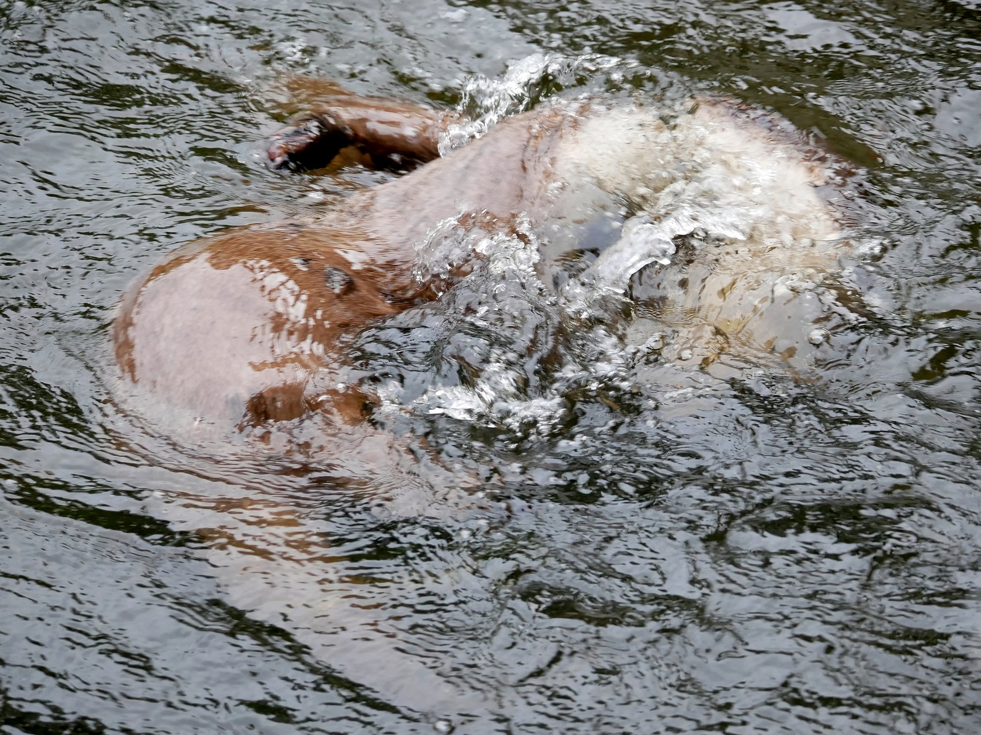 Unterwasserrangelei