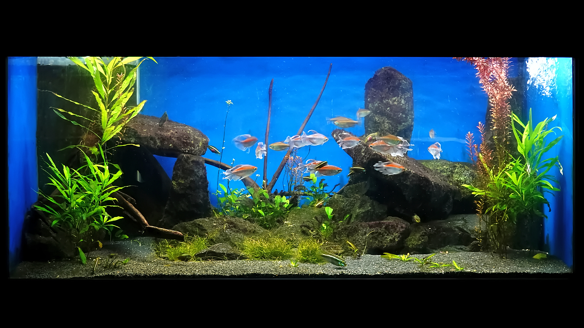 Unterwasserwelt