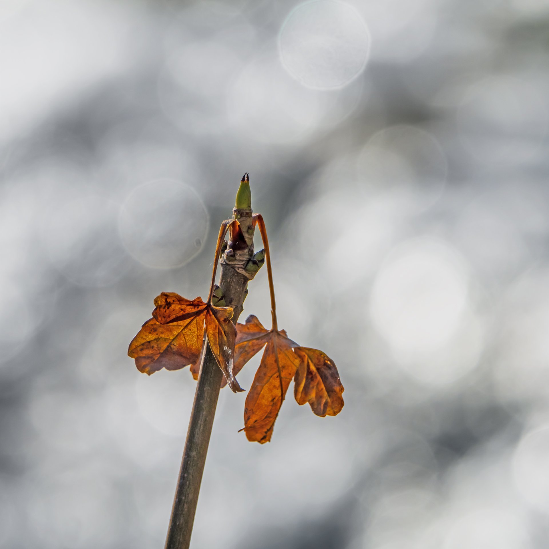 Verfall und Neuanfang