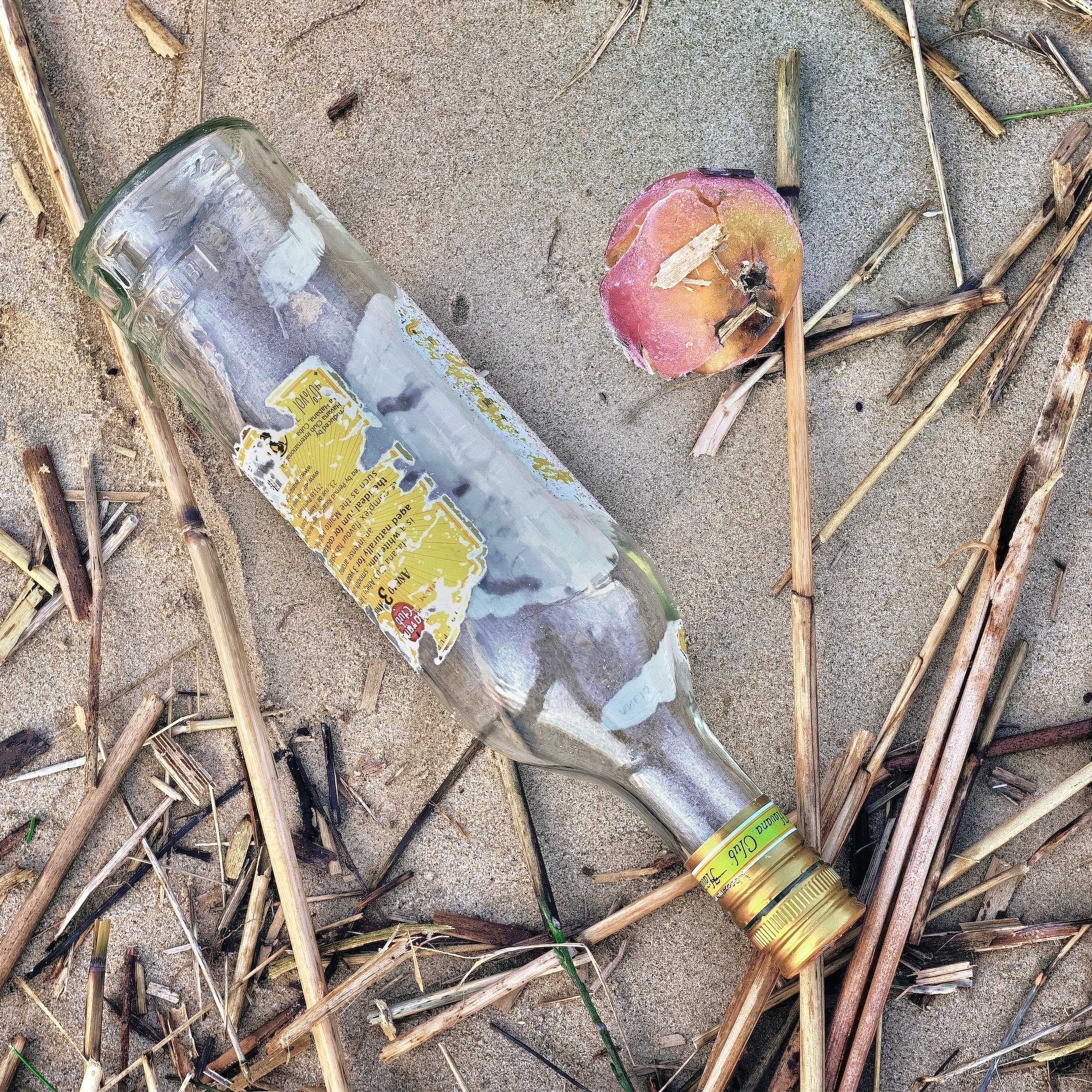 Vertreibung aus dem Paradies