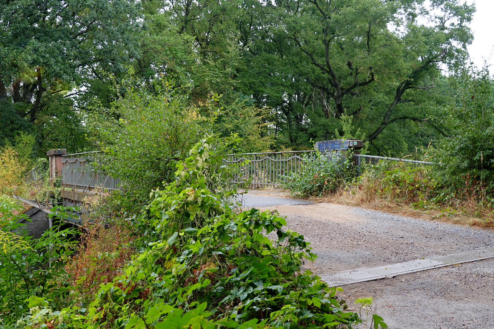 Verwachsen