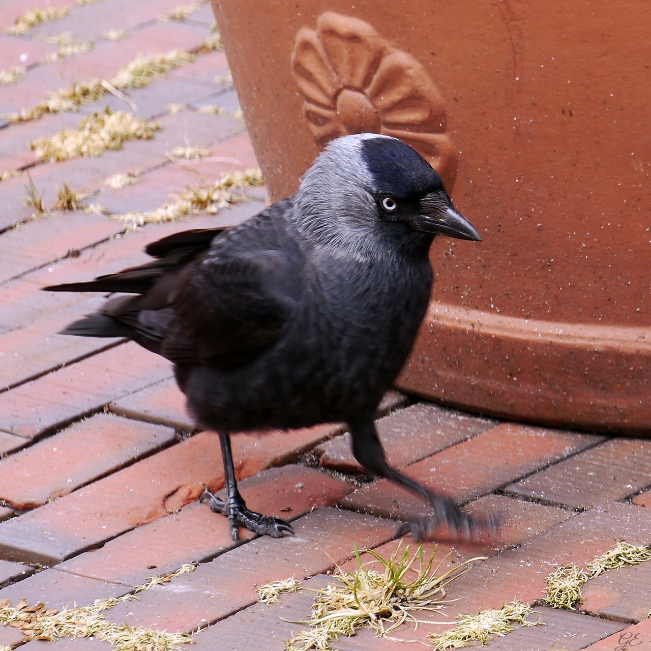 Verwischter Fuß