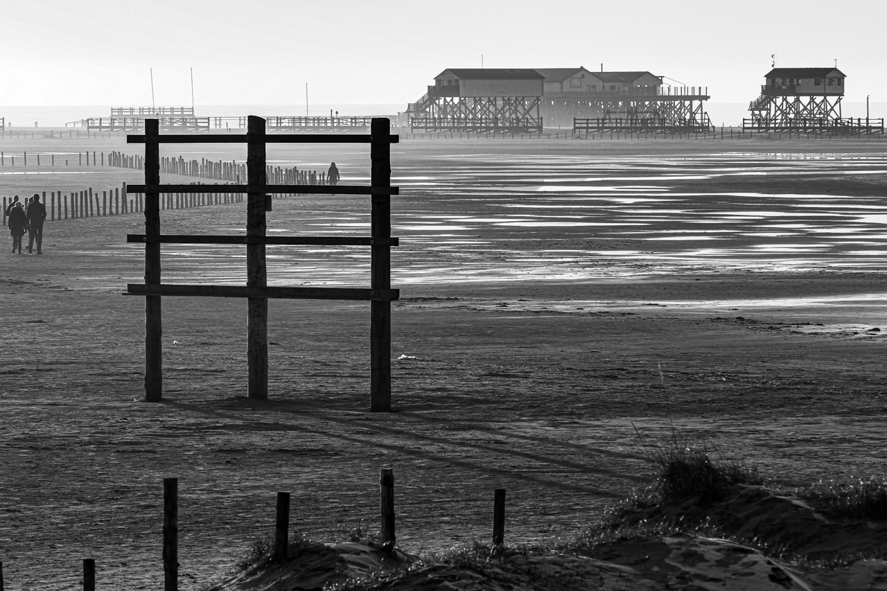 viel Holz am Strand