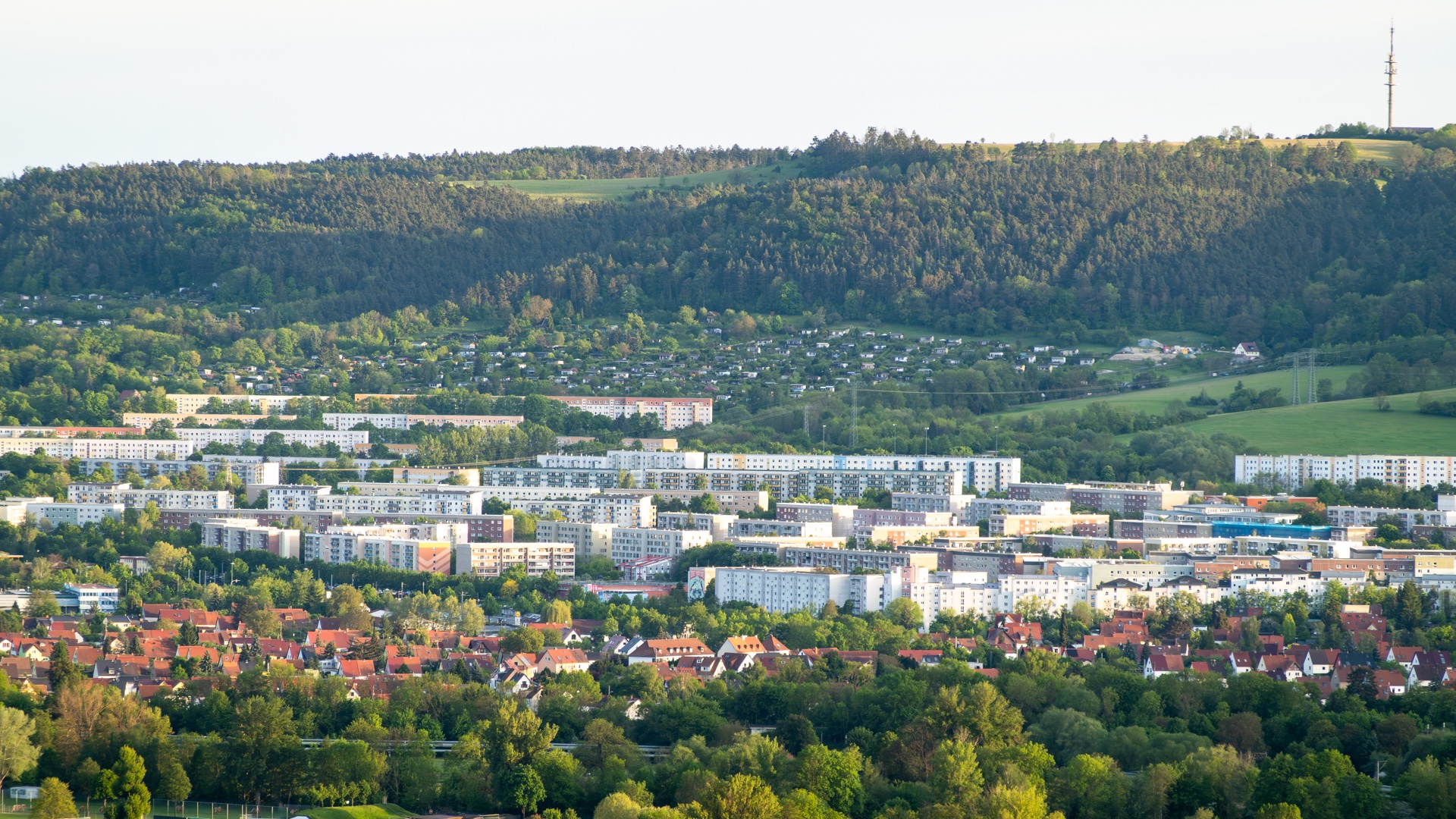 viele Nachbarn