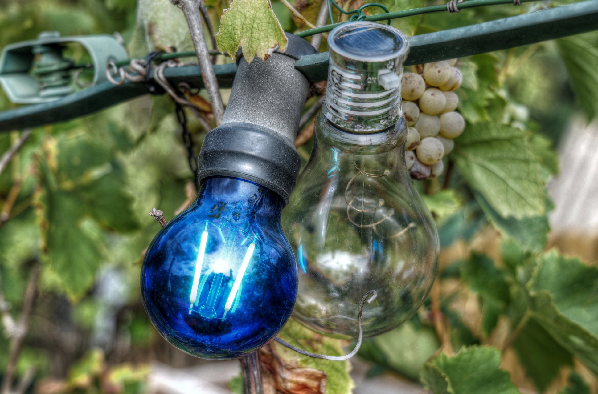 Vier Farben (3) : blau