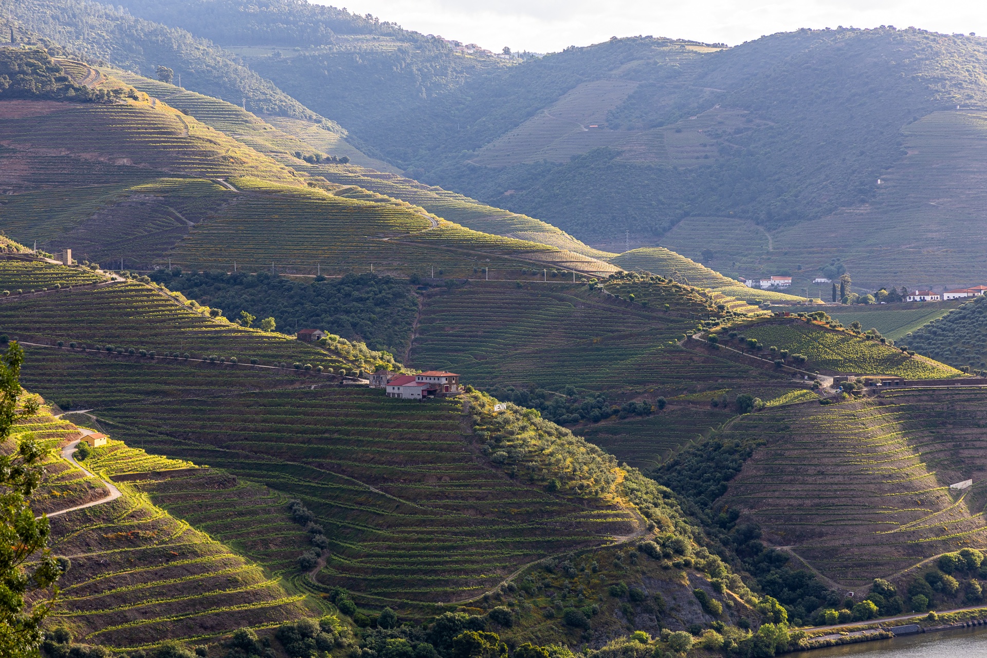 Vinho verde wird das mal