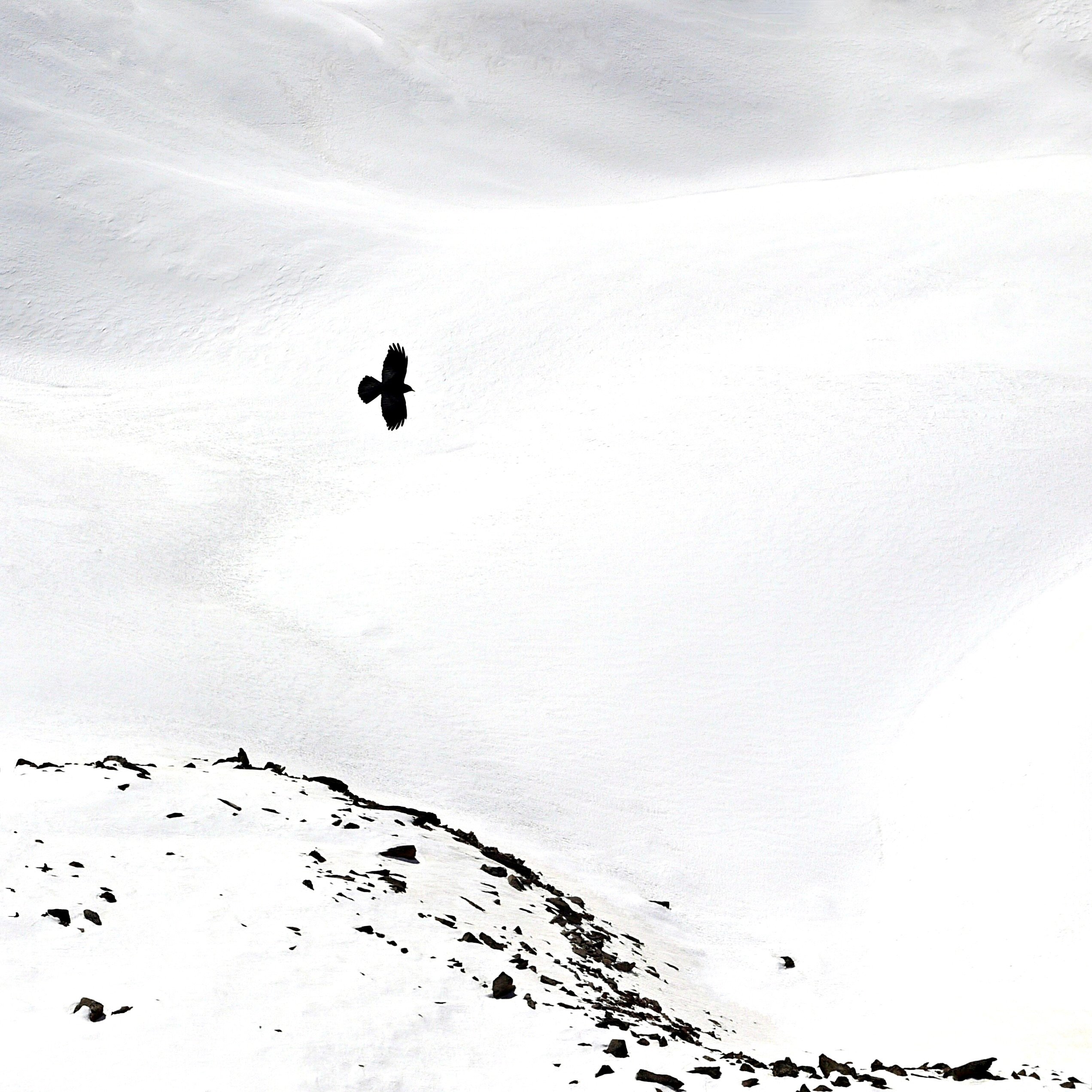 ... völlig losgelöst