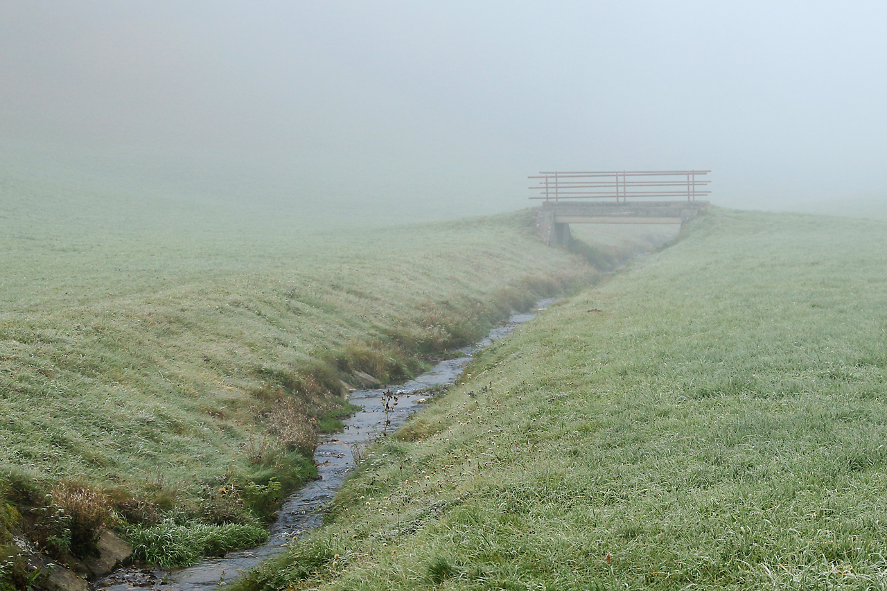 voll der Nebel II