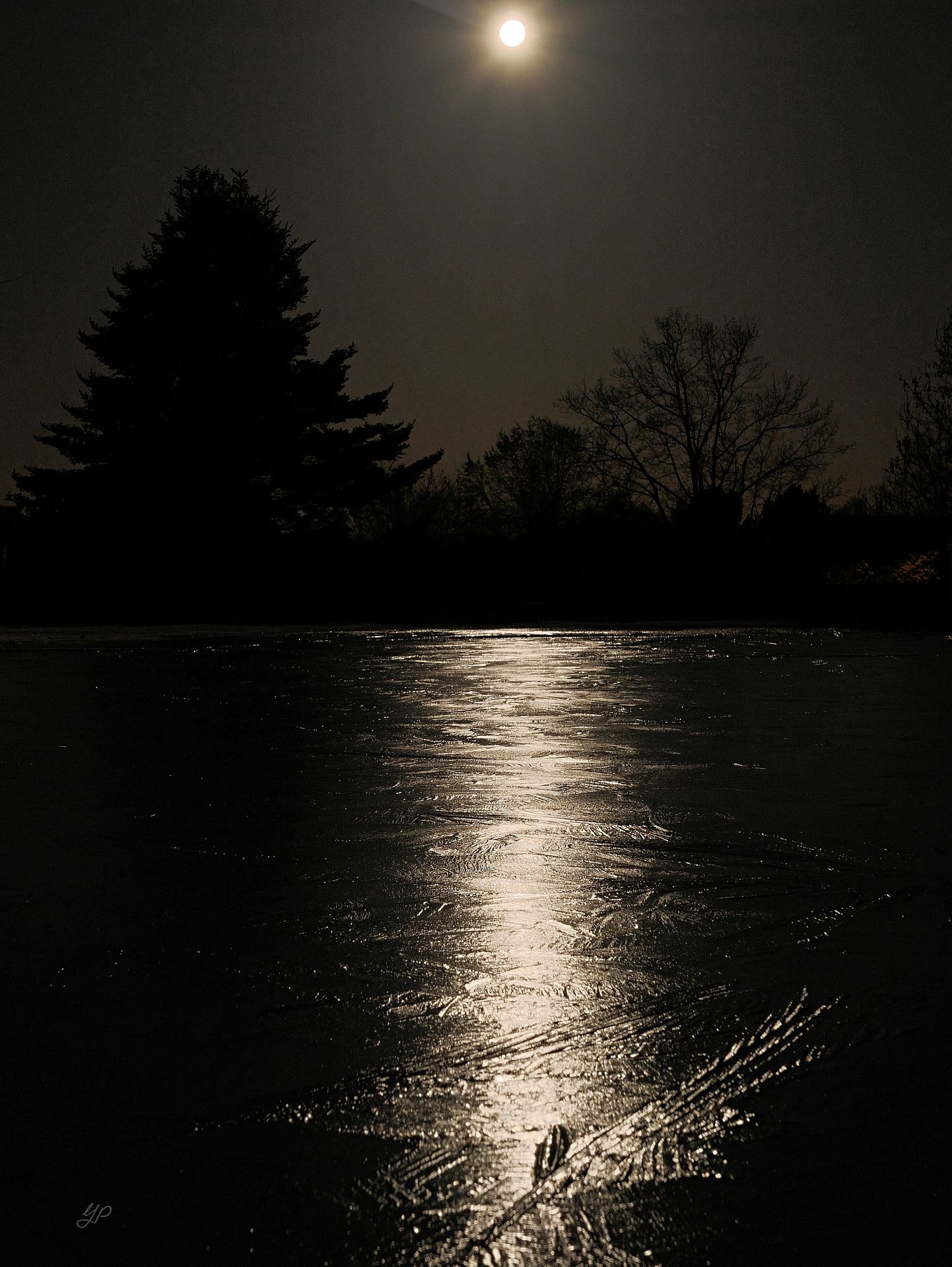 Vollmondlicht auf Eisstrukturen