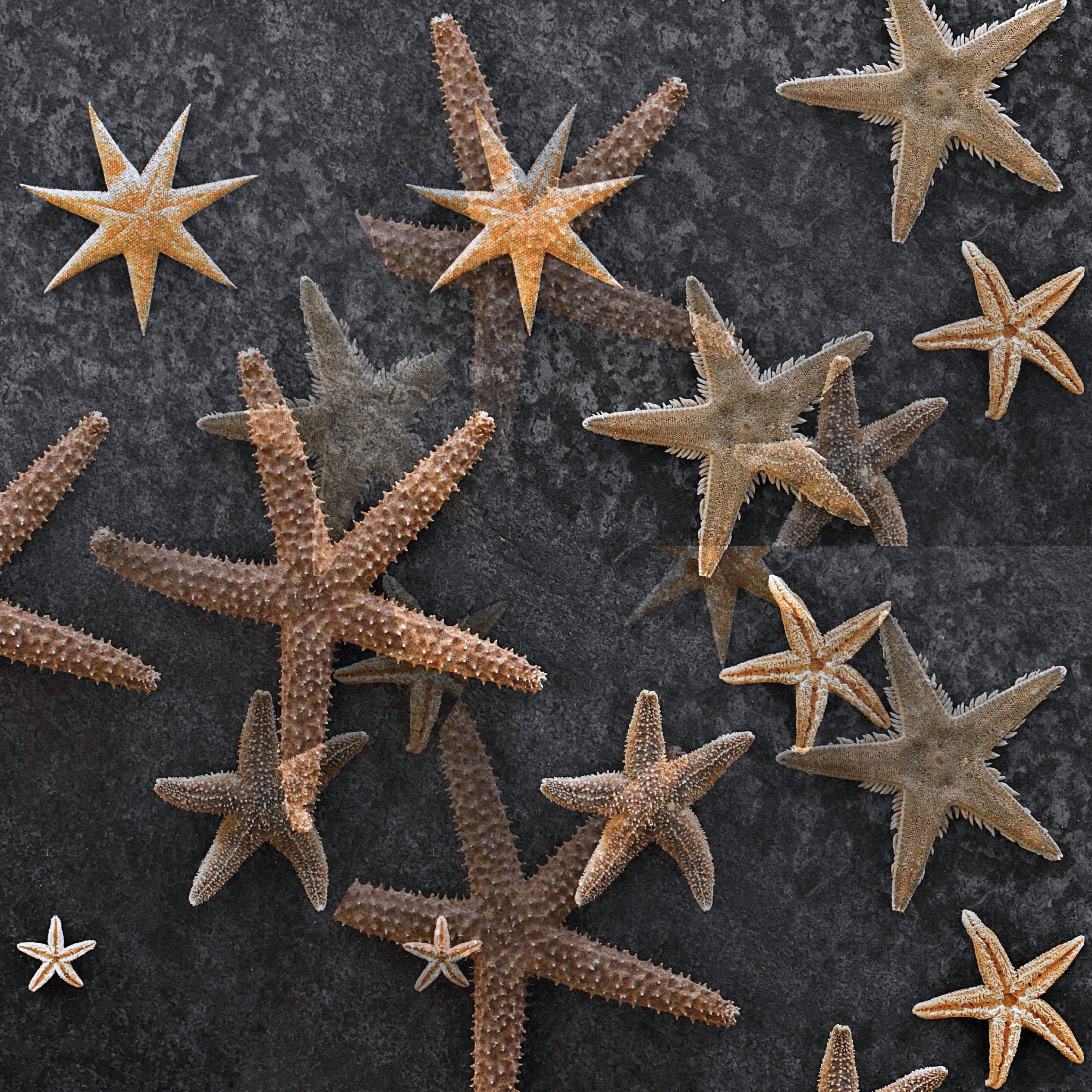 ... vom anderen Stern