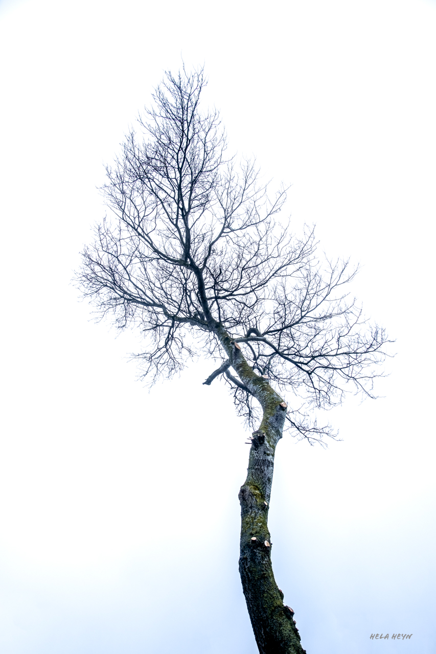 vom Sturm gezeichnet