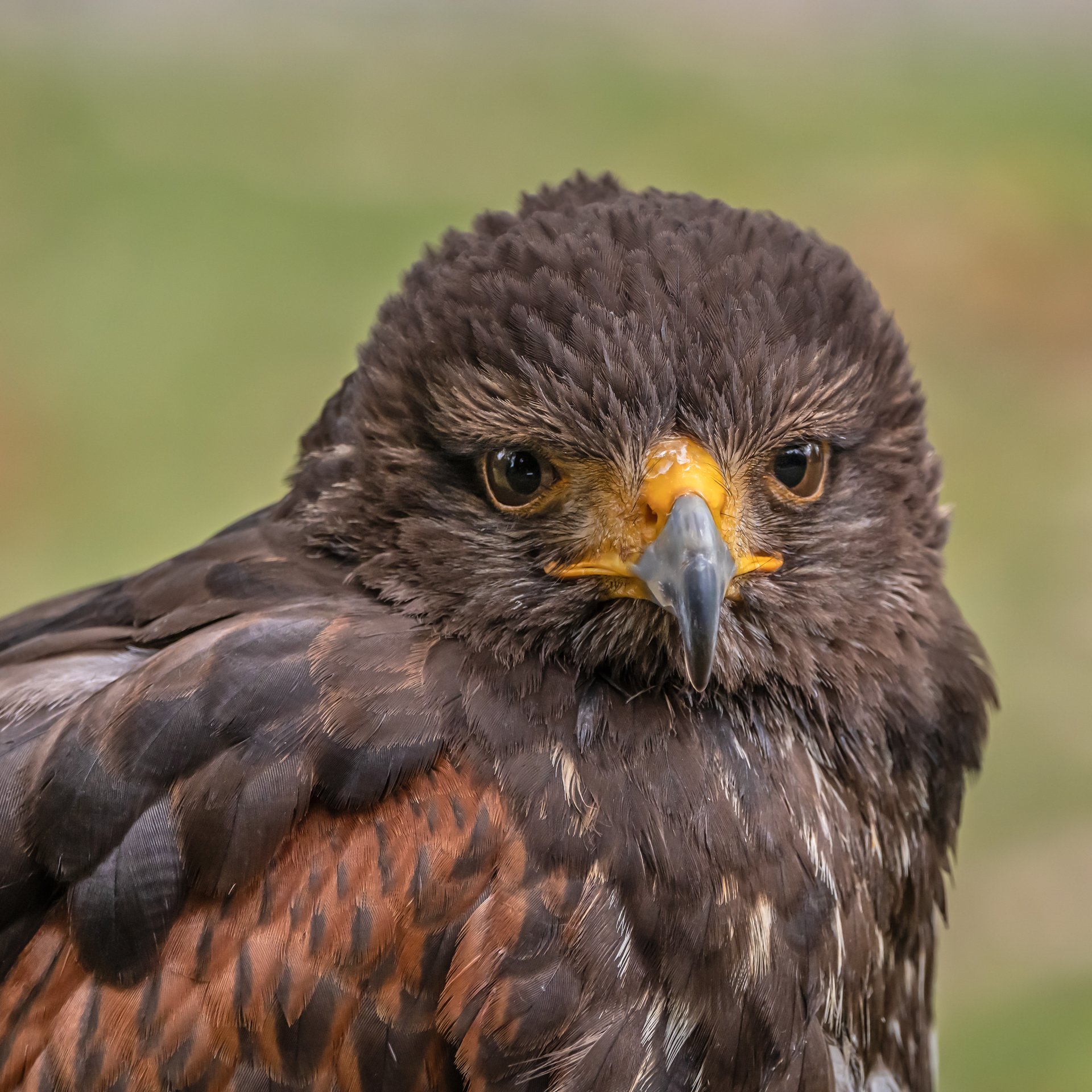 Von Angesicht zu Angesicht