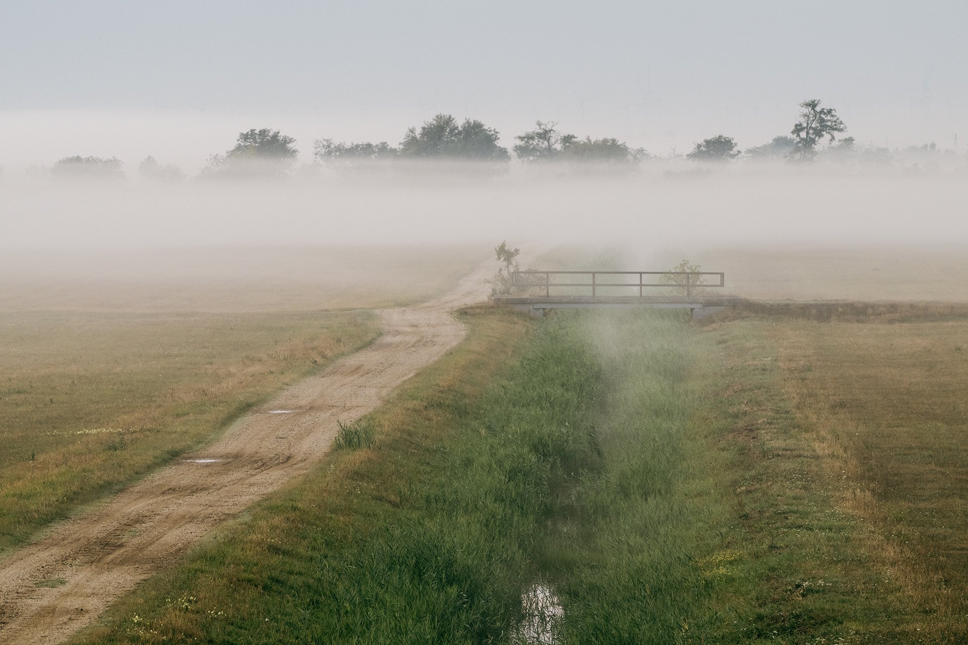 vor dem Nebel