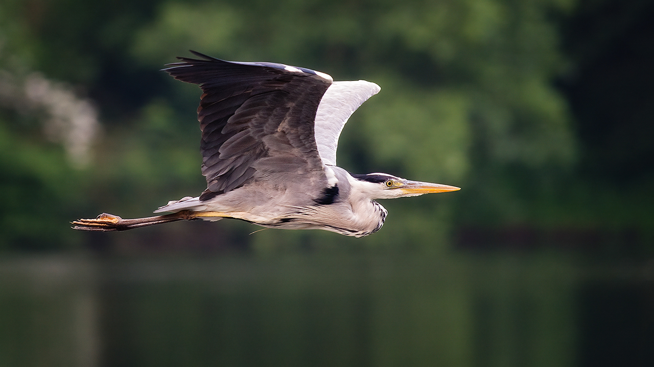 Vorbeiflug