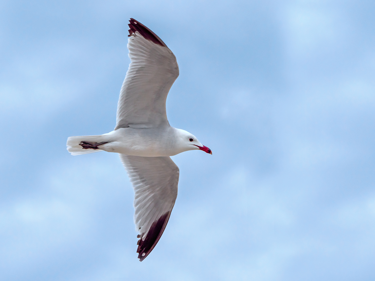 Vorbeiflug