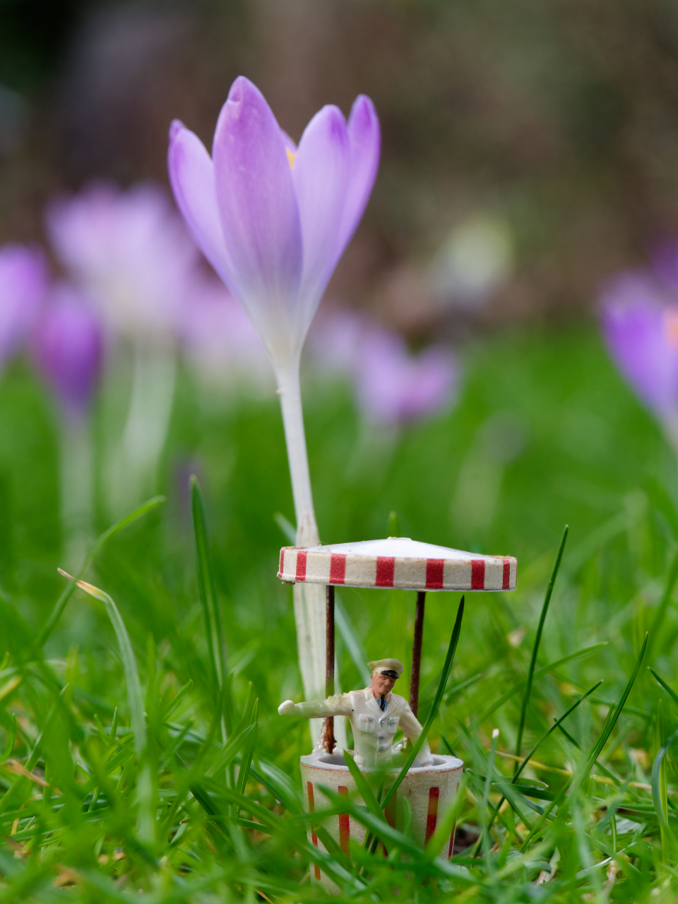 Vorfahrt für den Frühling