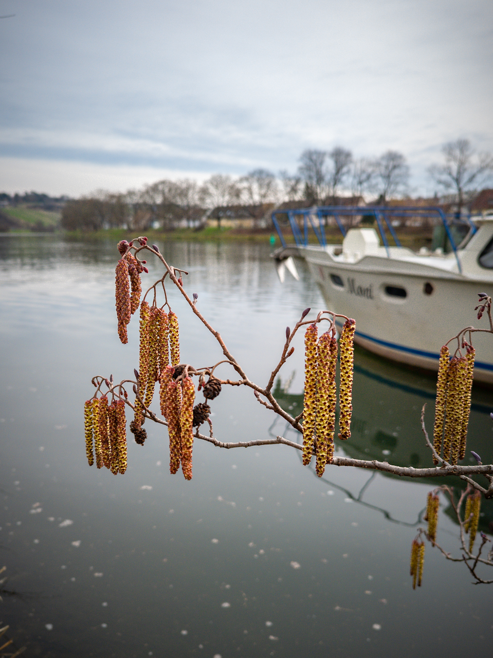 Vorfrühling am Neckar