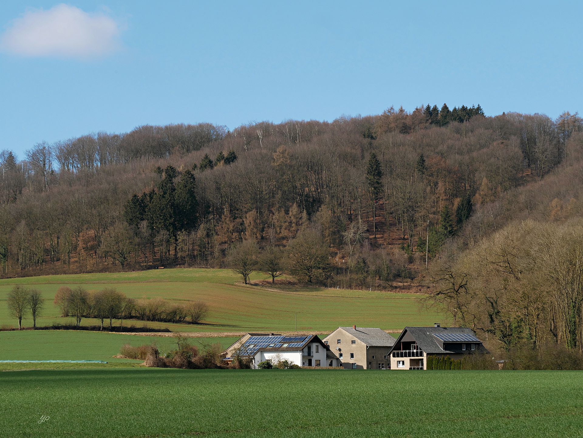 Vorfrühling