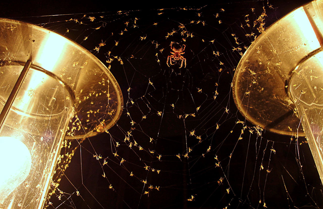 Vorratskammer #2 | d-pixx.de Forum