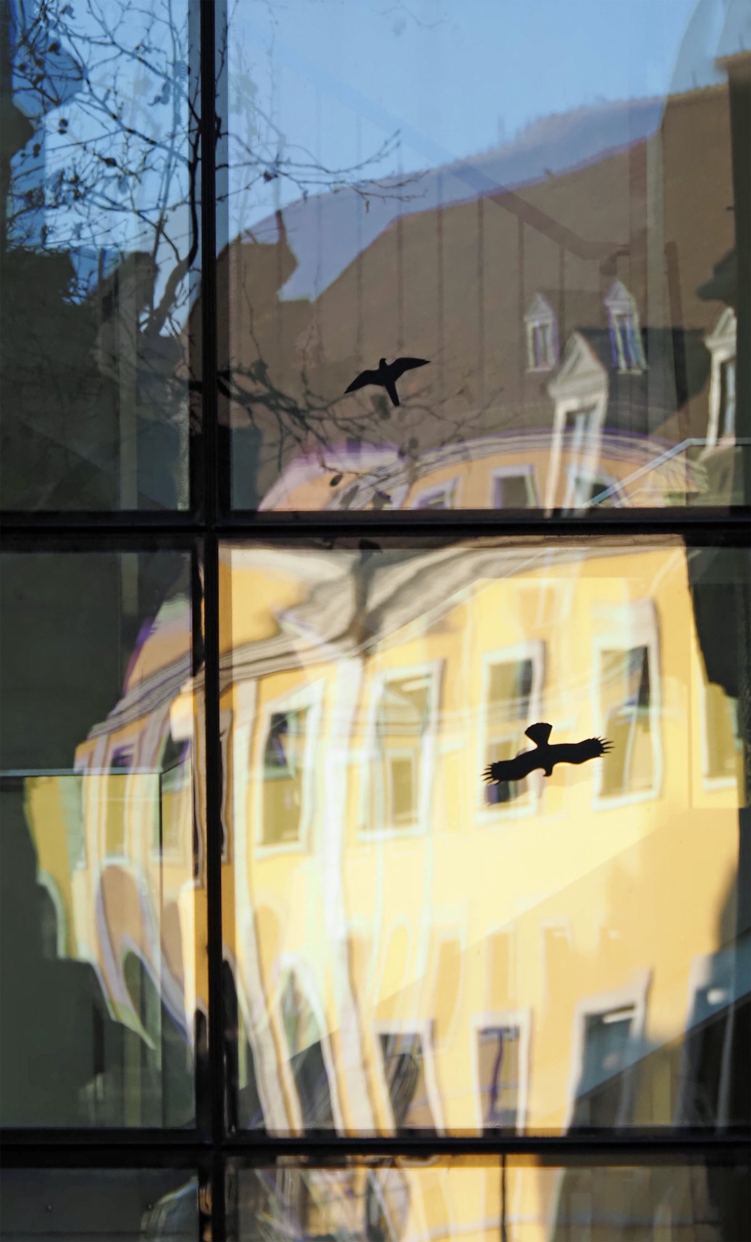 Vorsicht Fenster.jpg