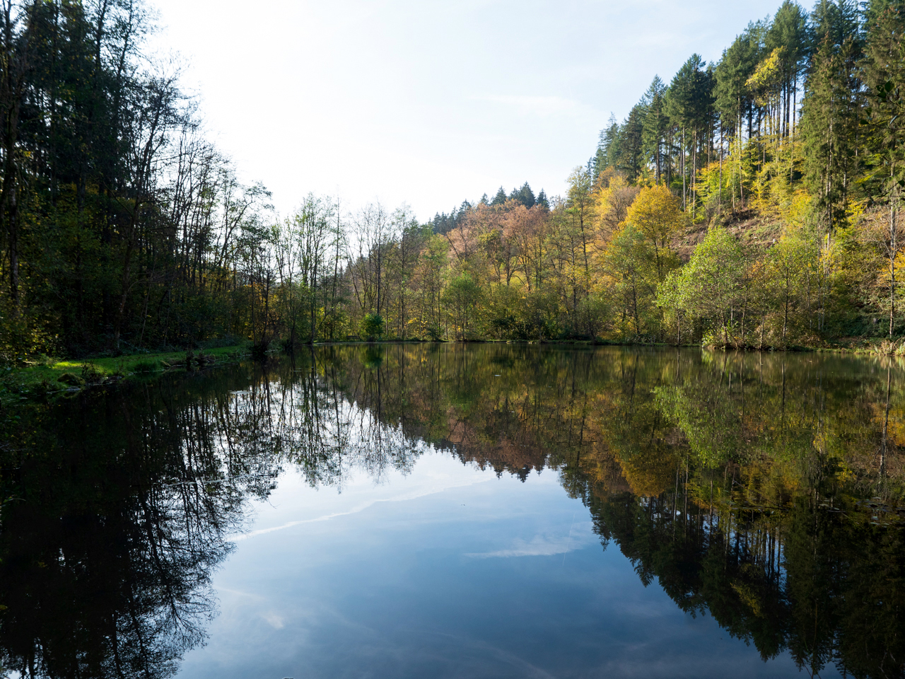 Waldsee