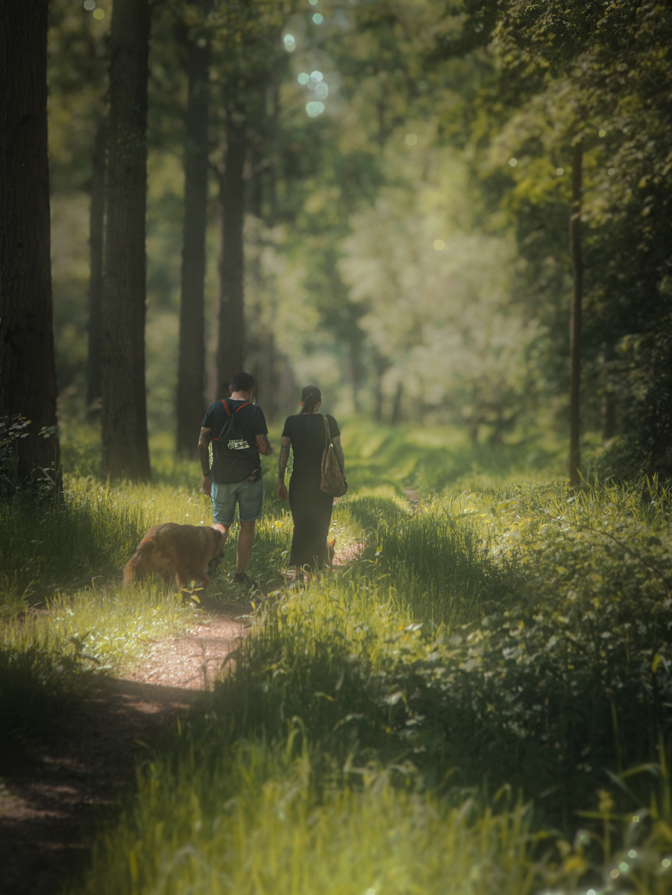 Waldspaziergang