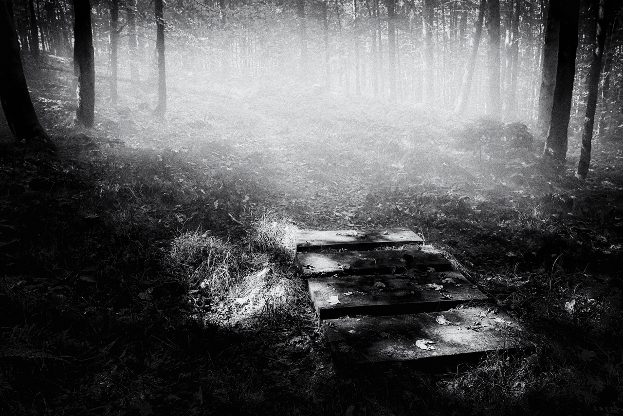 Waldweg