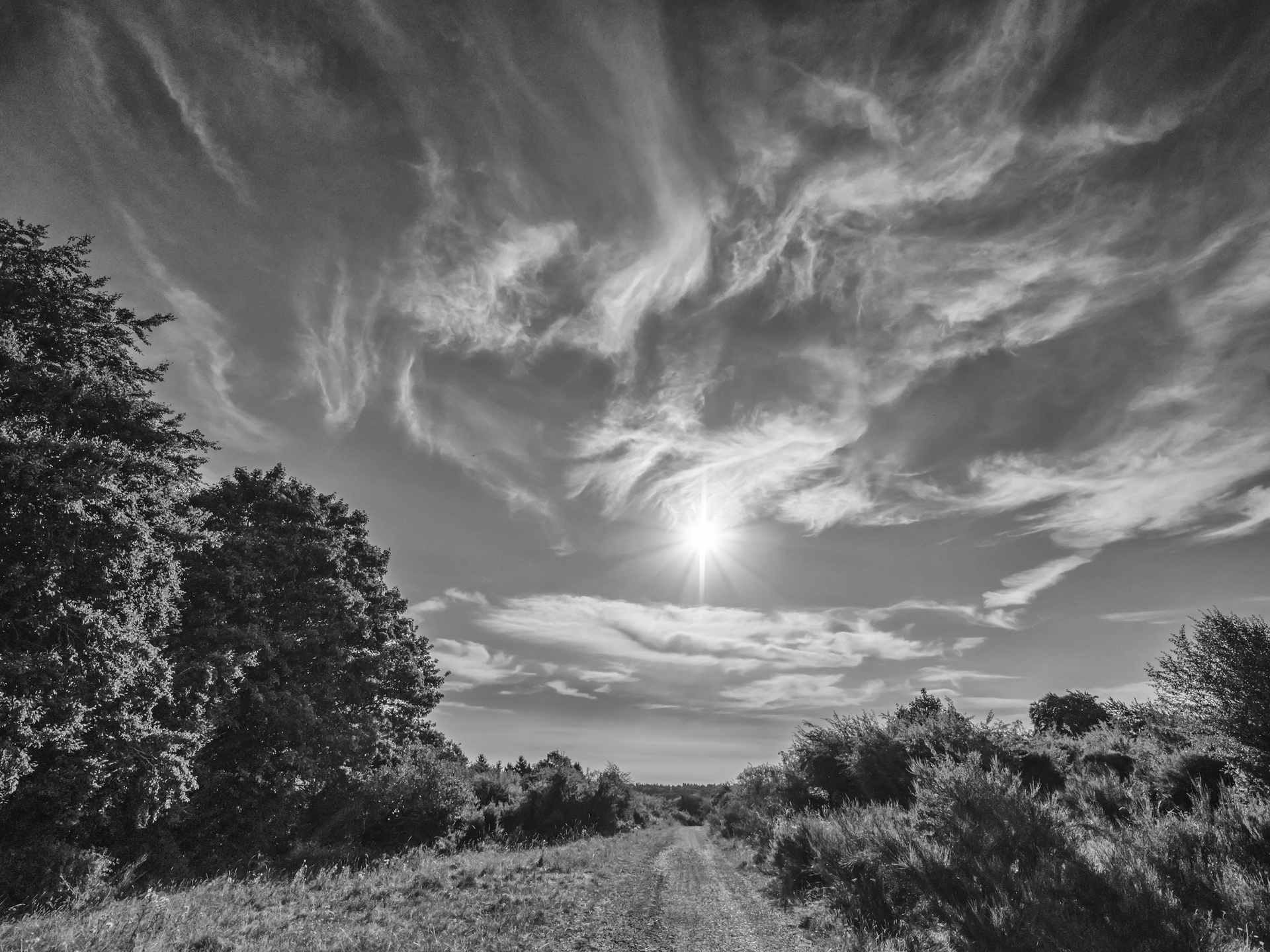 Wandern in der Hocheifel