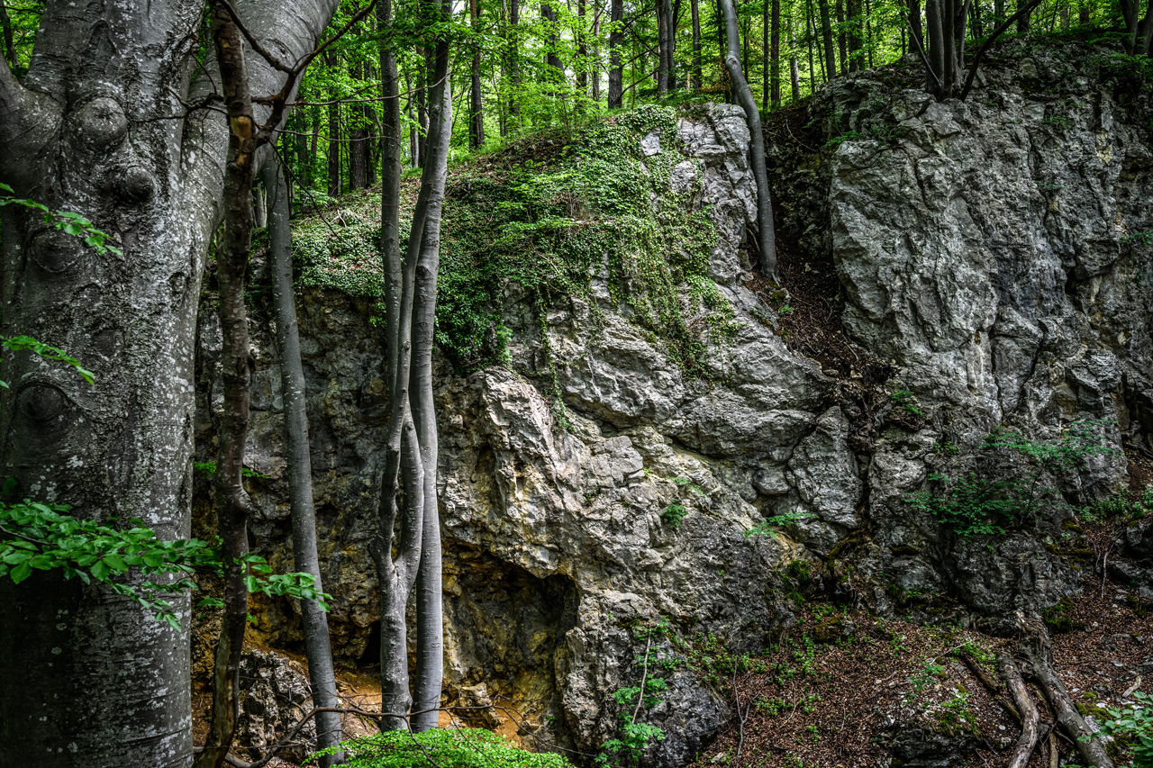 Wanderung am Albrand