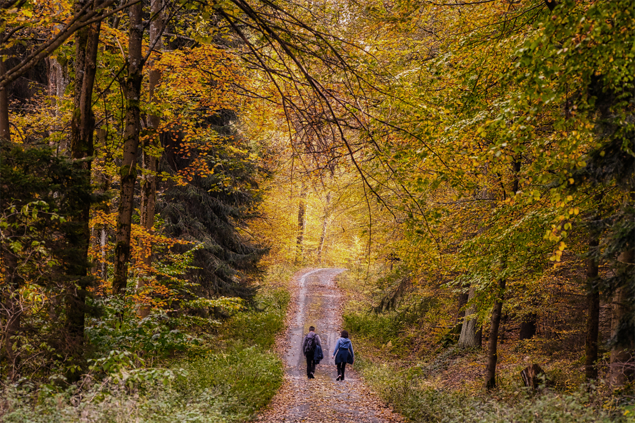 Wanderung