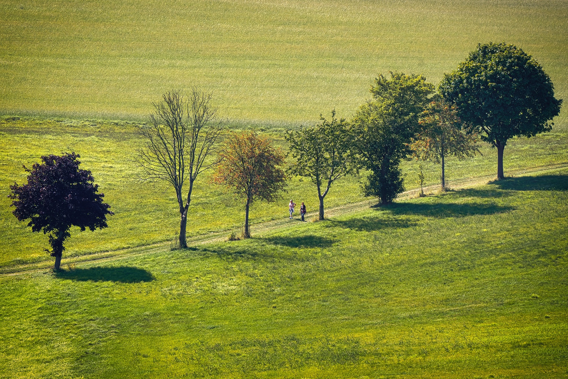 Wanderung