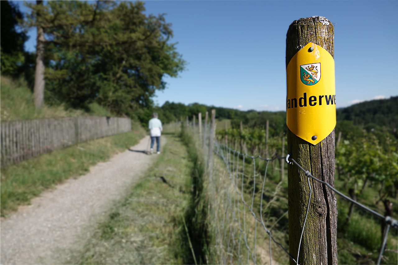 Wanderweg #3